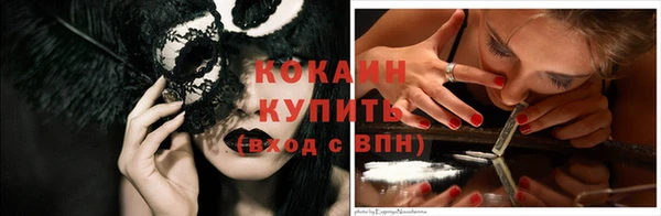кокс Гусев