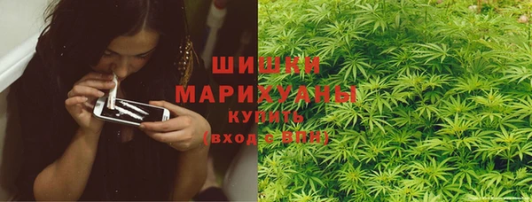 кокс Гусев