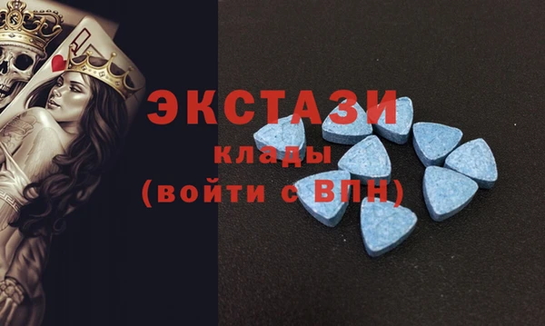 кокс Гусев